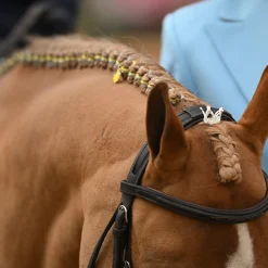 Luxy Charms Luxy Charm Pointed Forelock Crown