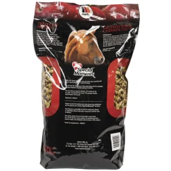 Martin's Apple Horse Treats 4 kg