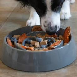Messy Mutts Interactive Slow Feeder Dog Bowl