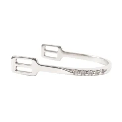 Metalab Motivator Spurs