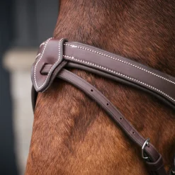 Mondega Bayeux Poll Relief Anatomical Bridle