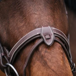 Mondega Bayeux Poll Relief Anatomical Bridle