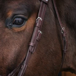 Mondega Bayeux Poll Relief Anatomical Bridle