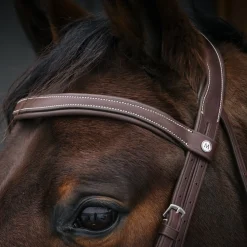 Mondega Bayeux Poll Relief Anatomical Bridle