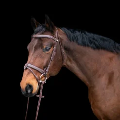 Mondega Bayeux Poll Relief Anatomical Bridle