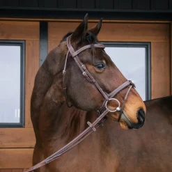 Mondega Bayeux Poll Relief Anatomical Bridle