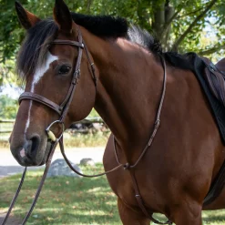 Mondega Carmaux Standing Martingale