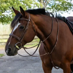 Mondega Carmaux Standing Martingale