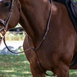 Mondega Carmaux Standing Martingale