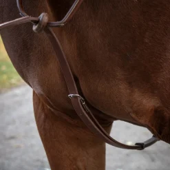 Mondega Carmaux Standing Martingale