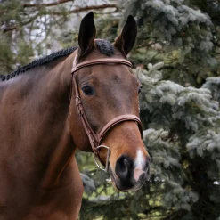 Mondega Gayo Classic Hunter Bridle