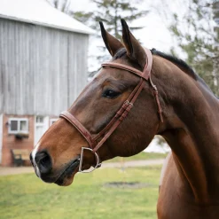 Mondega Gayo Classic Hunter Bridle