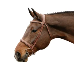 Mondega Gayo Classic Hunter Bridle