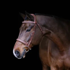 Mondega Gayo Classic Hunter Bridle
