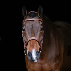 Mondega Gayo Classic Hunter Bridle
