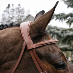 Mondega Gayo Classic Hunter Bridle