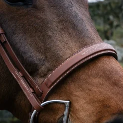 Mondega Gayo Classic Hunter Bridle