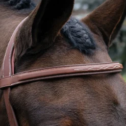 Mondega Gayo Classic Hunter Bridle