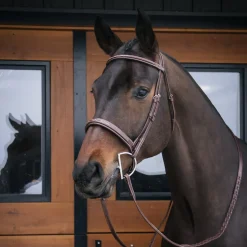 Mondega Gayo Classic Hunter Bridle