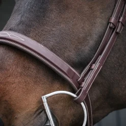 Mondega Gayo Classic Hunter Bridle
