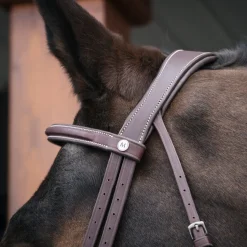 Mondega Gayo Classic Hunter Bridle