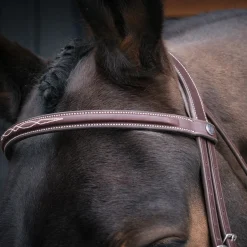 Mondega Gayo Classic Hunter Bridle