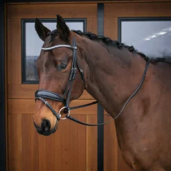 Mondega Laval Dressage Bridle