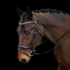 Mondega Laval Dressage Bridle