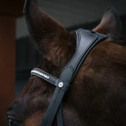 Mondega Laval Dressage Bridle