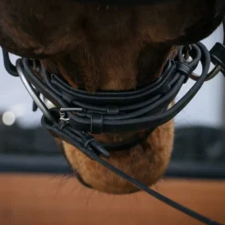 Mondega Laval Dressage Bridle
