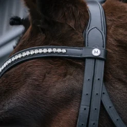 Mondega Laval Dressage Bridle