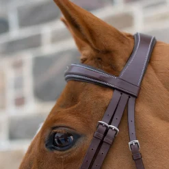 Mondega Liberica Fancy Stitched Hunter Bridle