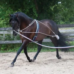 Mondega Lunging System
