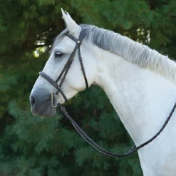 Mondega Marocchino 2.0 Hunter Bridle W/ Reins