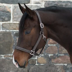 Mondega Raised Fancy Stitched Halter