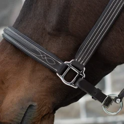 Mondega Raised Fancy Stitched Halter