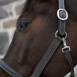 Mondega Raised Fancy Stitched Halter