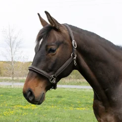 Mondega Raised Fancy Stitched Halter