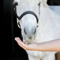 Nickers Crunchy Cubes Horse Treats
