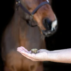 Nickers Crunchy Cubes Horse Treats