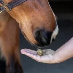 Nickers Crunchy Cubes Horse Treats