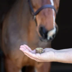 Nickers Crunchy Cubes Horse Treats