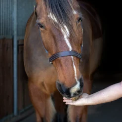 Nickers Crunchy Cubes Horse Treats