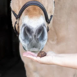 Nickers Original Muffins Horse Treats