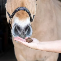 Nickers Original Muffins Horse Treats
