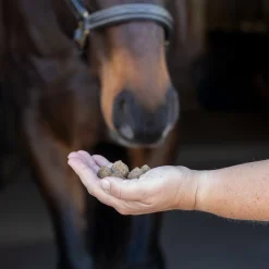 Nickers Training Treats Horse Treats