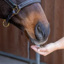 Nickers Training Treats Horse Treats