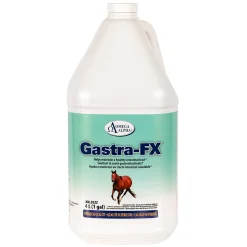 Omega Alpha Gastra-Fx 4 L