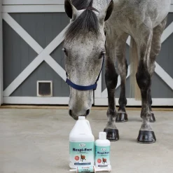 Omega Alpha Respi-Free 4 L