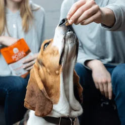 Open Farm Premium Pet Food Open Farm Pork Dog Treats 127 g